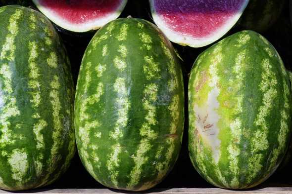 Frische Wassermelone – Sommerliche Erfrischung in München Saftige aufgeschnittene Wassermelone als Beispiel für frische Waren auf dem Münchner Großmarkt.