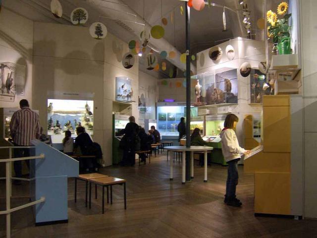Kinder an einer interaktiven Station im Naturkundemuseum München.